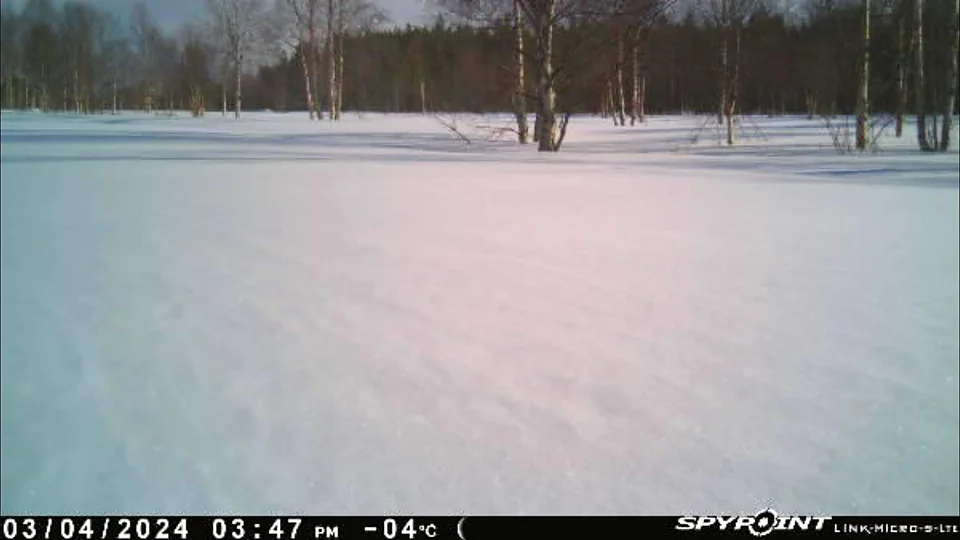 3.4.2024 klo 15:47, −4°C — aavaa lumipeltoa keväällä